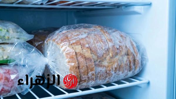 هل تخزين الخبز في الفريزر يسبب السرطان؟.. استشاري تغذية تحسم الجدل