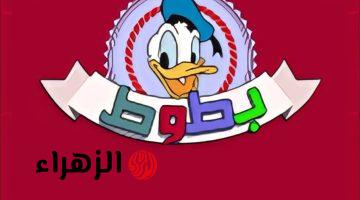 تردد قناة بطوط 2026 على نايل سات وعرب سات بأعلى جودة