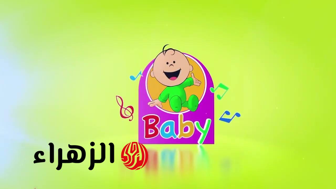 تردد قناة طيور بيبي 2026 بجودة HD على نايل وعرب سات