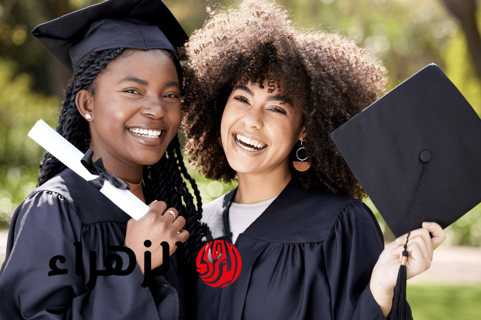 الآن جدول امتحانات الترم الثاني 2026 محافظة الغربية لكل الطلاب بعد اعتماده من الوزارة