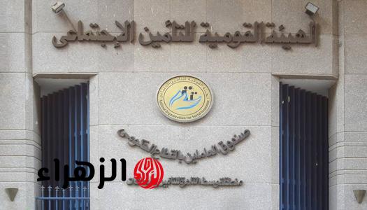 حقيقة رفع سن المعاش إلى 61 عاما في يوليو 2026.. “التأمينات” تحسم الجدل