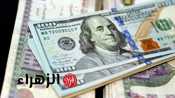 سعر الدولار يواصل الانخفاض أمام الجنيه في بداية تعاملات اليوم