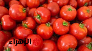 سعر الطماطم يسجل انخفاضا جديدا في الأسواق المحلية