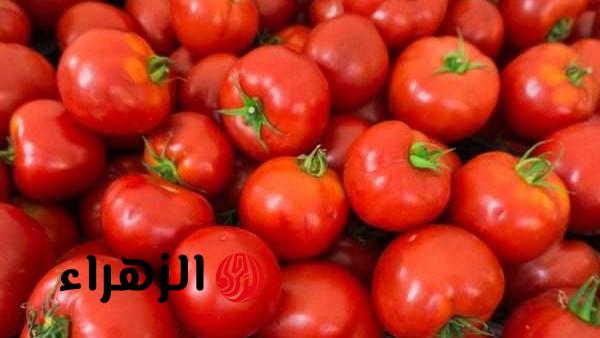 سعر الطماطم يسجل انخفاضا جديدا في الأسواق المحلية