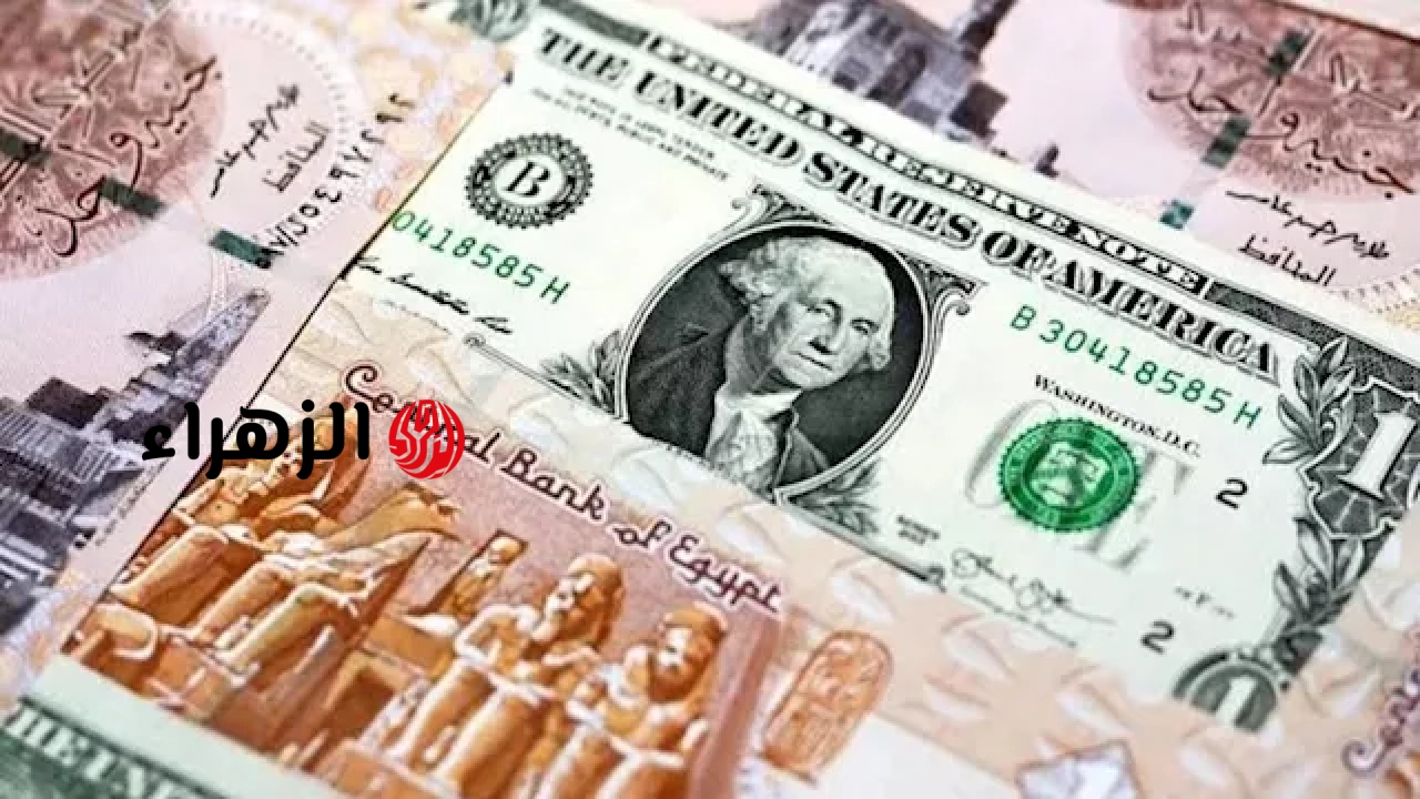 لماذا قفز الدولار أمام الجنيه خلال تعاملات اليوم الأربعاء وسجل هذا الرقم؟