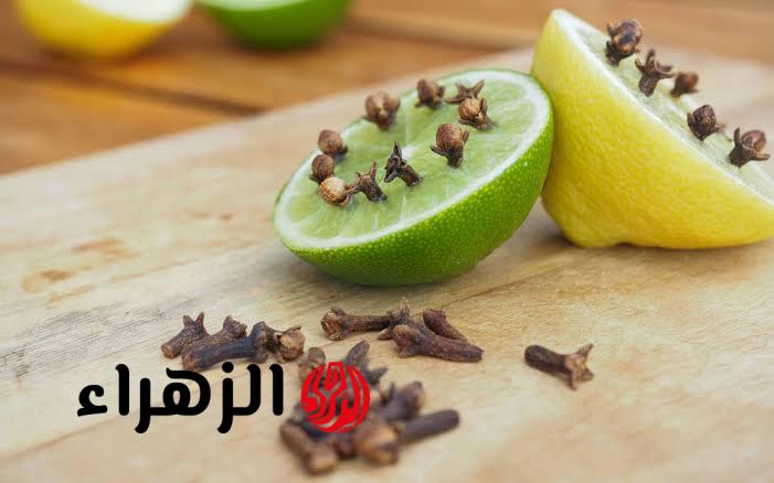 مش هترميه تاني.. طريقة استخدام قشر الليمون لطرد الناموس والدبان من المنزل