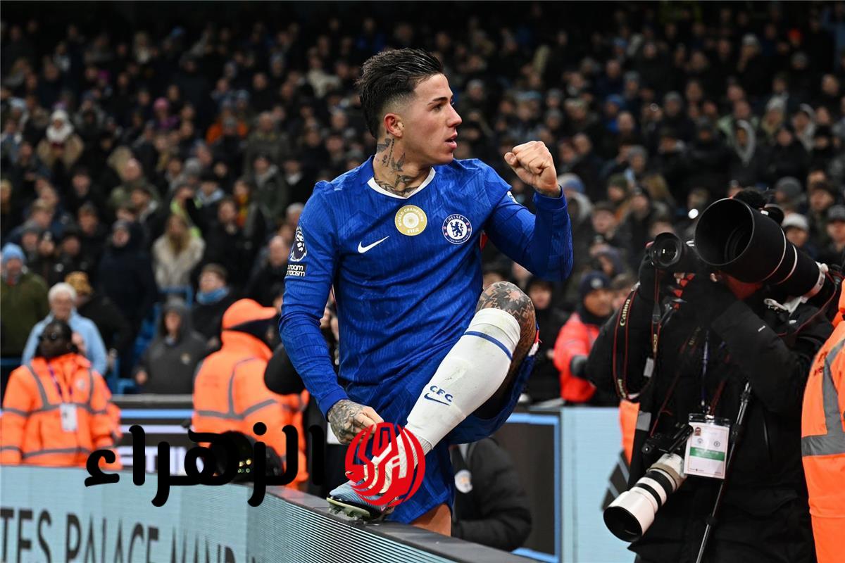 مدرب تشيلسي يستبعد إنزو فرنانديز بقرار تأديبي بسبب تلميحاته عن مدريد