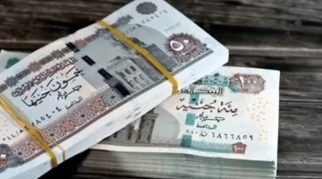 بالزيادة الجديدة؟.. موعد صرف معاشات شهر مايو 2026