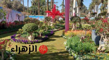 معرض الزهور يعلن تفاصيل الفعاليات ويحدد سعر التذكرة قبل الافتتاح الرسمي