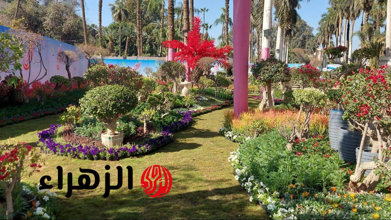 معرض الزهور يعلن تفاصيل الفعاليات ويحدد سعر التذكرة قبل الافتتاح الرسمي