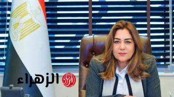 منال عوض : تمويل 1338 مشروعًا صغيرًا من صندوق التنمية المحلية بـ17 محافظة