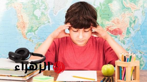 وزارة التربية والتعليم تدرس مقترحات معلمين بشأن تعديلات منهج الدراسات الاجتماعية للصف الثاني الإعدادي