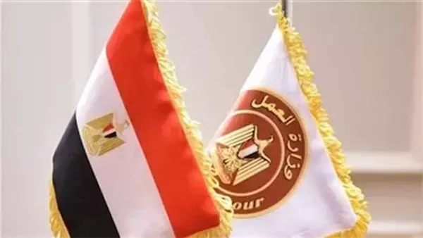وزارة العمل تطرح وظائف جديدة للمواطنين في عدد من التخصصات