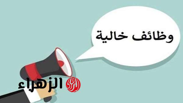 وزارة العمل تعلن عن فتح باب التقديم لوظائف جديدة برواتب تصل إلى 19 ألف جنيه