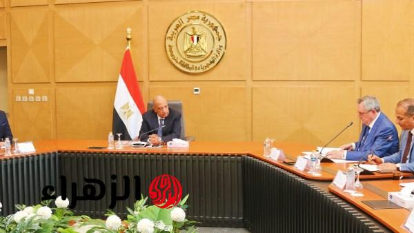وزير الكهرباء يبحث مع لجنة الطاقة بالدوما الروسي تطورات تنفيذ مشروع محطة الضبعة النووية