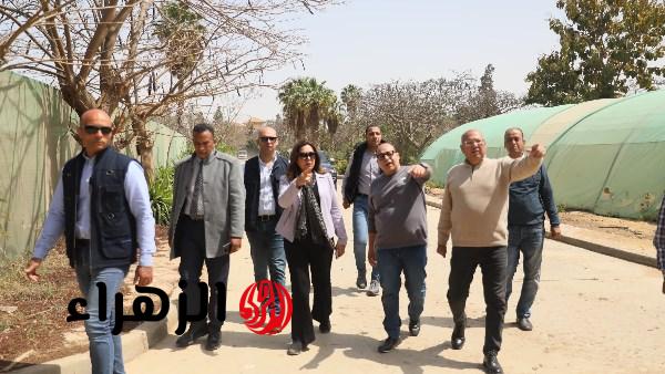 وزيرة التنمية المحلية تتفقد المشتل المركزي للوزارة بالقاهرة الجديدة