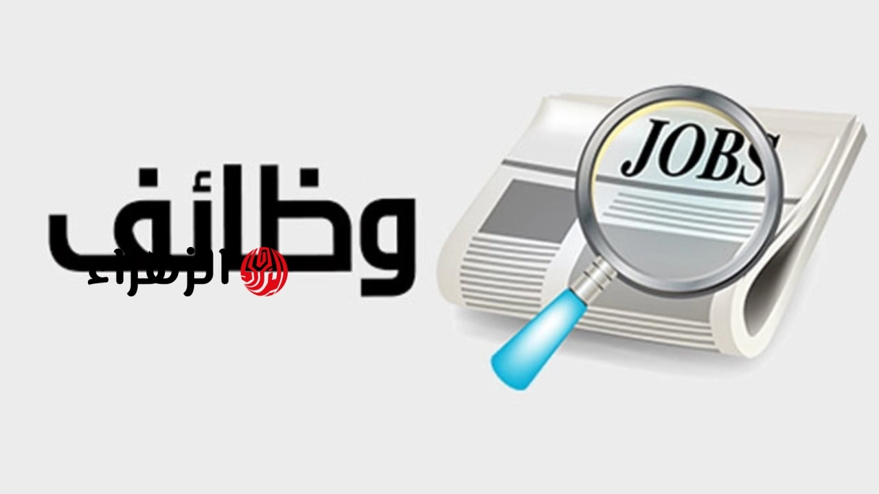 النقل تعلن وظائف خالية برواتب تصل لـ 16 ألف جنيه لسائقي أتوبيسات وتاكسي العاصمة