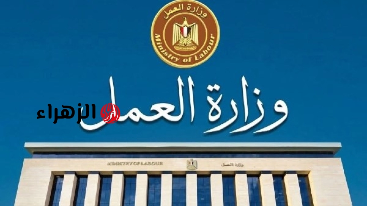 برواتب تبدأ من 8500 جنيه.. وزارة العمل تعلن عن 77 وظيفة جديدة للشباب بمحافظة بورسعيد