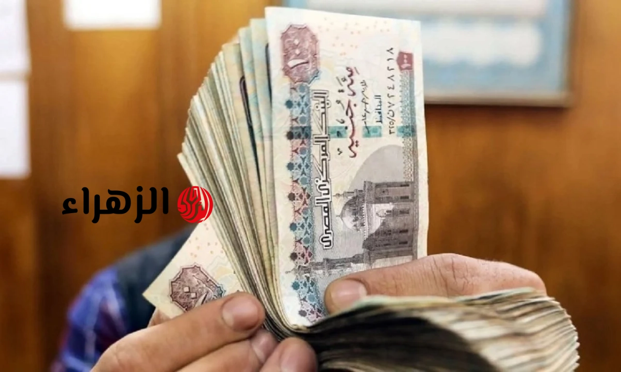 بالرقم القومي الاستعلام عن تكافل وكرامة لشهر يونيو 2026 من موقع تكافل وكرامة