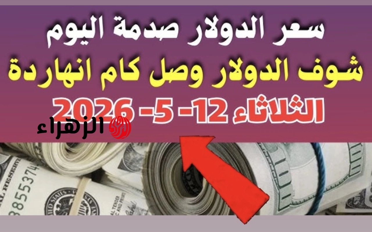 العملـة الخضـراء ترتفـع: كم وصل الآن سعر الدولار اليوم في مصر الثلاثاء 12 مايو 2026 في جميـع البنـوك بختام تعامـلات اليـوم