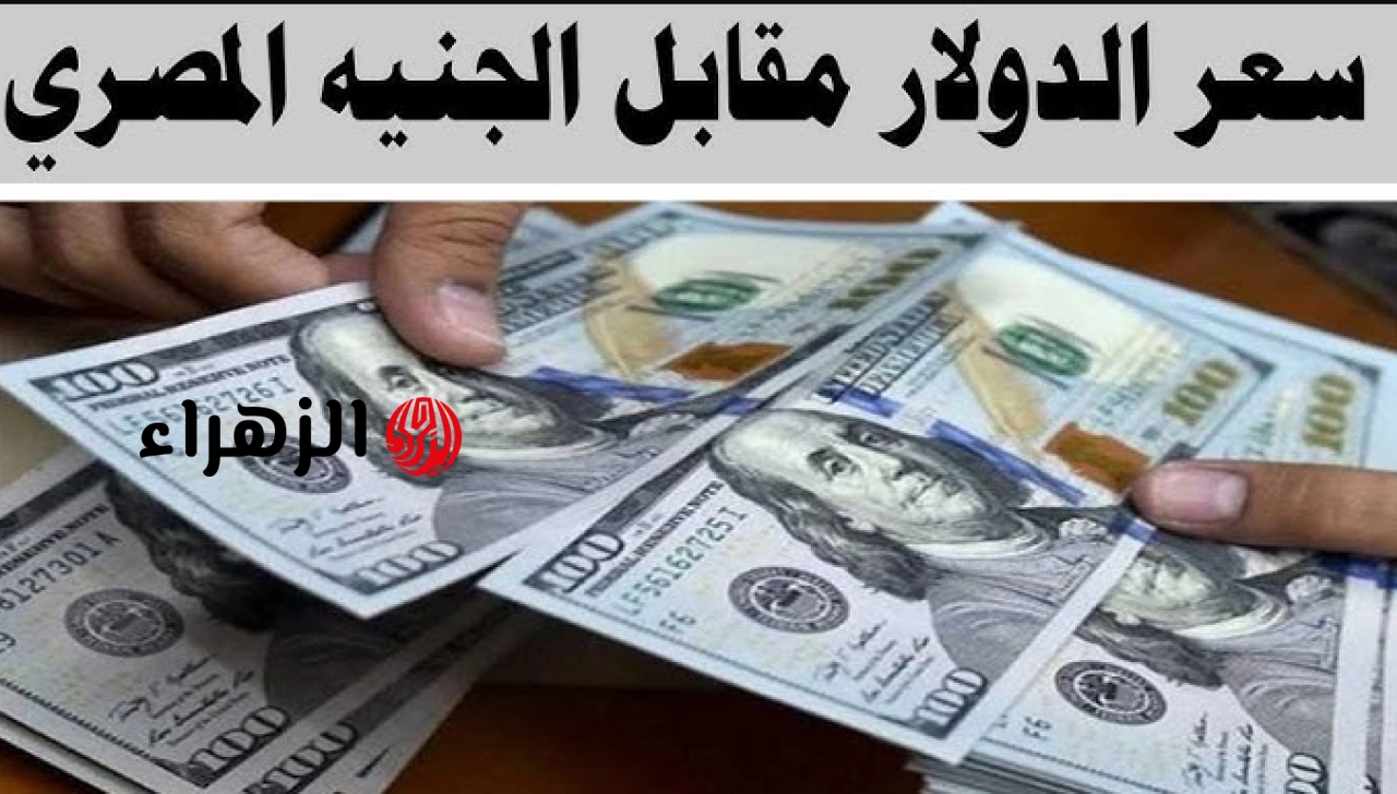 الأخضـر يكسـر التوقعـات.. تعرف على سعر الدولار مقابل الجنيه المصري الثلاثاء 5 مايو 2026 في جميـع البنـوك المصـرية في منتصف المعاملات اليـوم