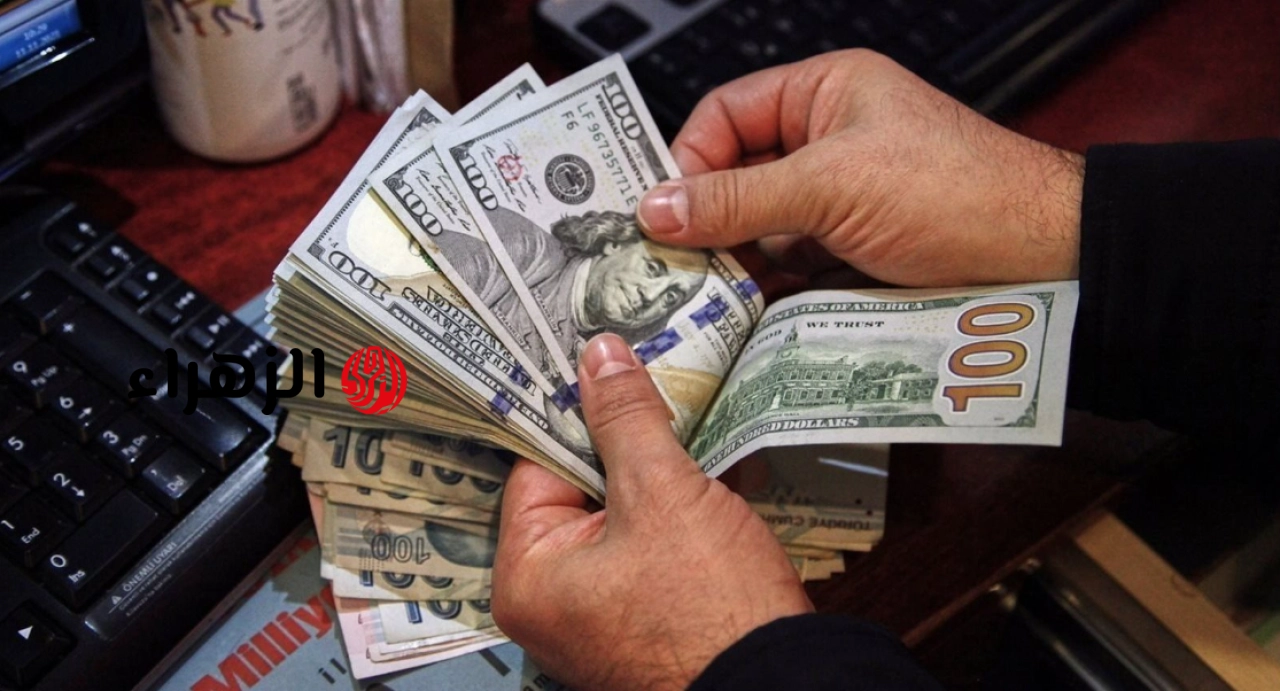 آخـر تحديث: سعر الدولار مقابل الجنيه المصري في ختـام تعاملات اليـوم الثلاثاء 19 مايو 2026 هل ستستمر مكاسب الجنيه