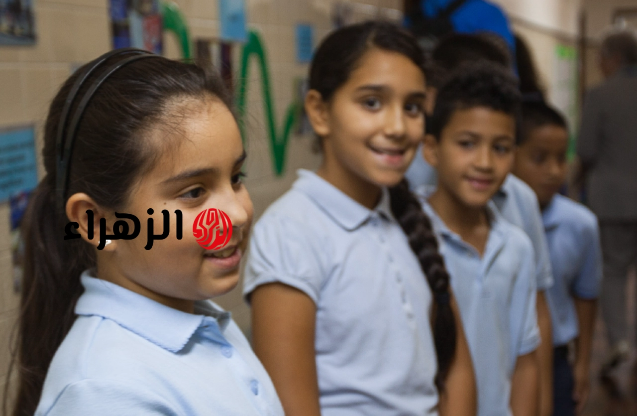 “درجـاتك Pdf” رابـط الاستعلام عن نتيجة الصف الثالث الابتدائي 2026 جميـع الطلاب حـال اعتمـادها رسميـا