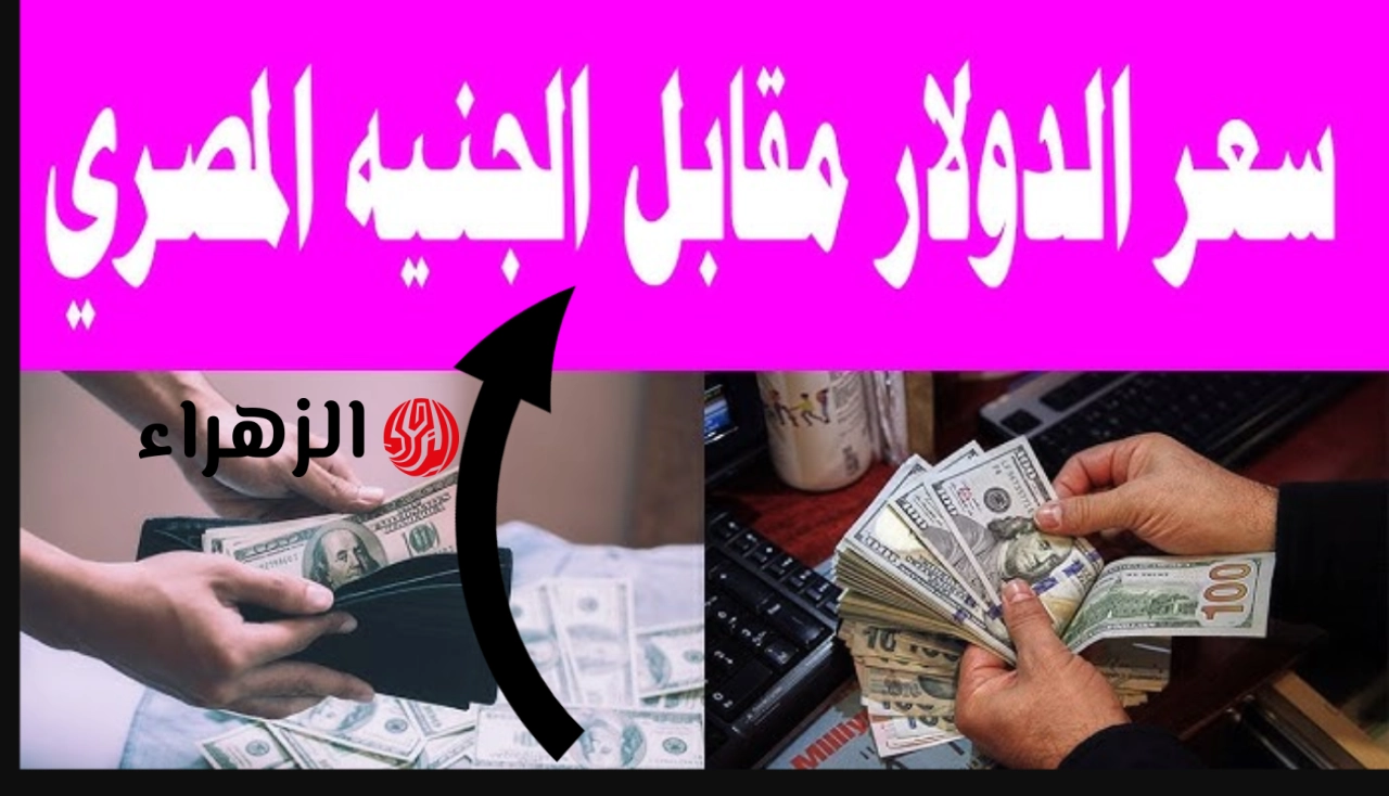 “الأخضـر على فين رايـح” تعرف على سعر الدولار مقابل الجنيه المصري اليوم الأربعاء 13 مايو 2026 في جميـع البنـوك المصـرية.. اعرف آخر تحديث للسعر الآن