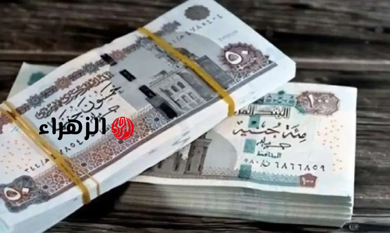 حالات الجمع بين معاشين وفقا لقانون التأمينات الاجتماعية.. ما هي؟