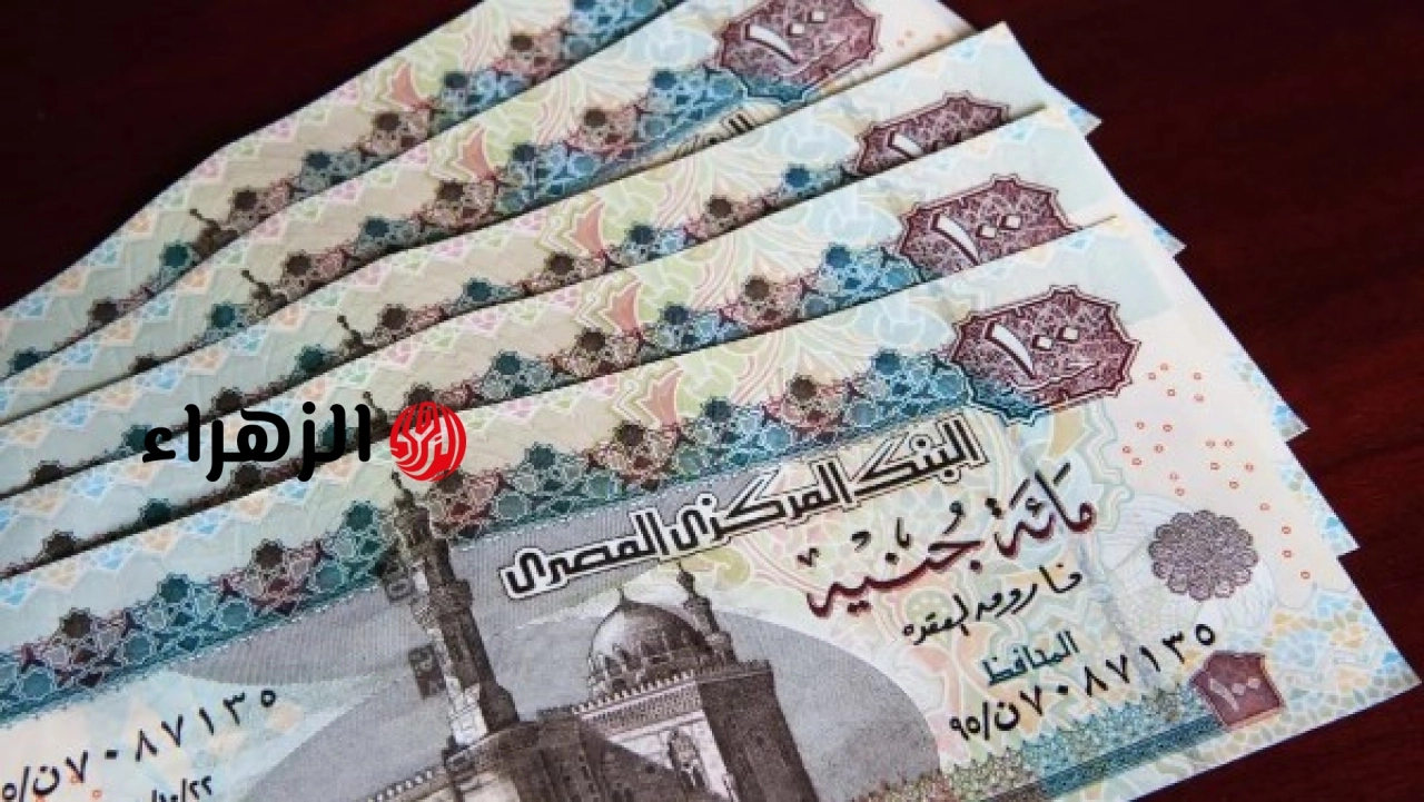 الحكومة تعلن بدء التسجيل لصرف منحة العمالة غير المنتظمة بقيمة 3000 جنيه قبل عيد الأضحى