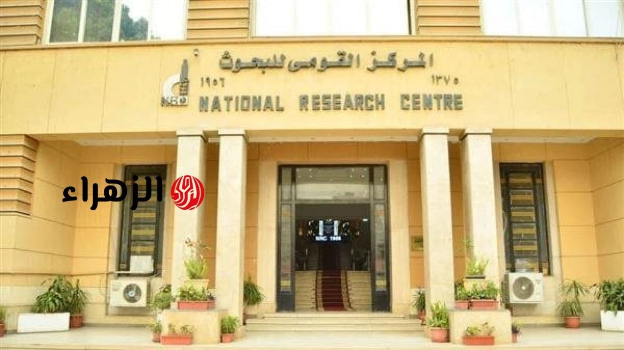 القومي للبحوث يوضح طرق العناية بالبشرة للوقاية من العدوى الجلدية خلال عيد الأضحى
