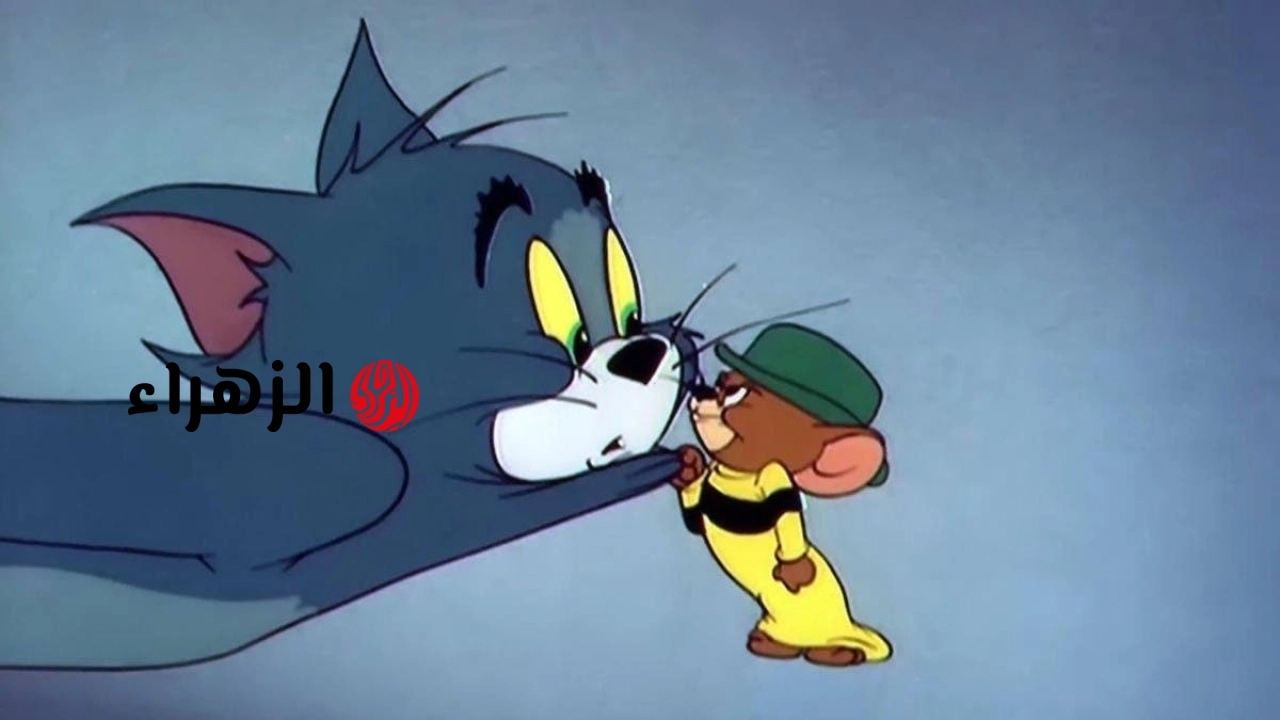 ضبط تردد قناة توم وجيري 2026 Tom & Jerry لمتابعة اجمل كرتون القط والفار واغاني الاطفال طول اليوم
