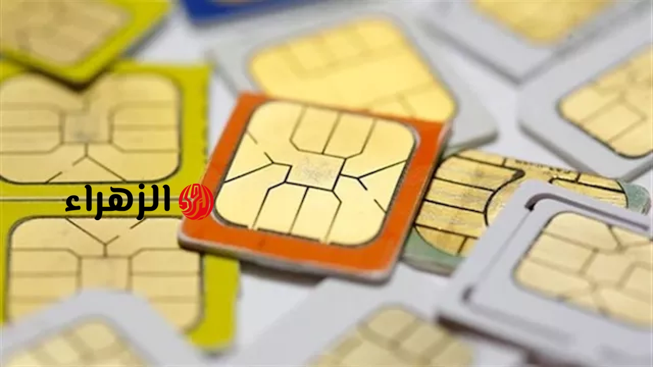 لو خط باسمك وأنت متعرفش.. طريقة معرفة جميع الأرقام المسجلة برقمك القومى