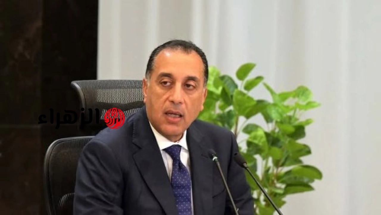 الوزراء يكشف موعد تطبيق الدعم النقدي بدلا من السلع والخبز