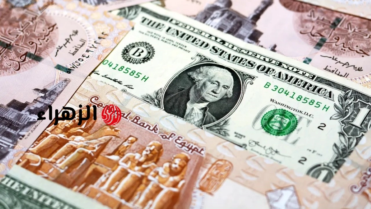 آخر تحديث.. سعر الدولار مقابل الجنيه المصري في البنك الأهلي وبنك مصر اليوم الأحد 17-5-2026 مع بداية التعاملات