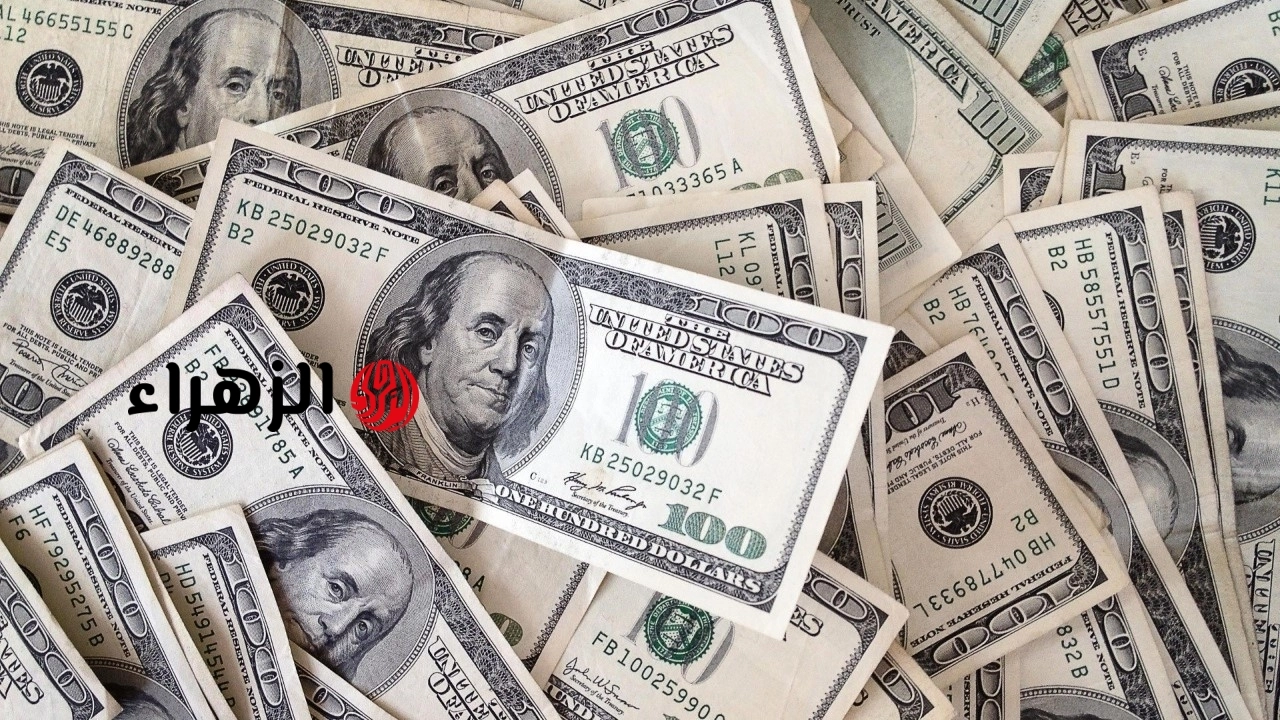 بعد القفزة القياسية في تحويلات المصريين بالخارج.. سعر الدولار يصل لهذا الرقم رسميًا