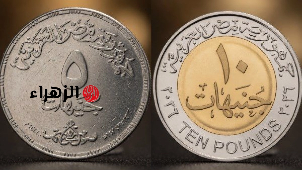 حقيقة طرح عملات فئة 5 و10 جنيهات معدنية بدلًا من الورقية.. توضيح رسمي