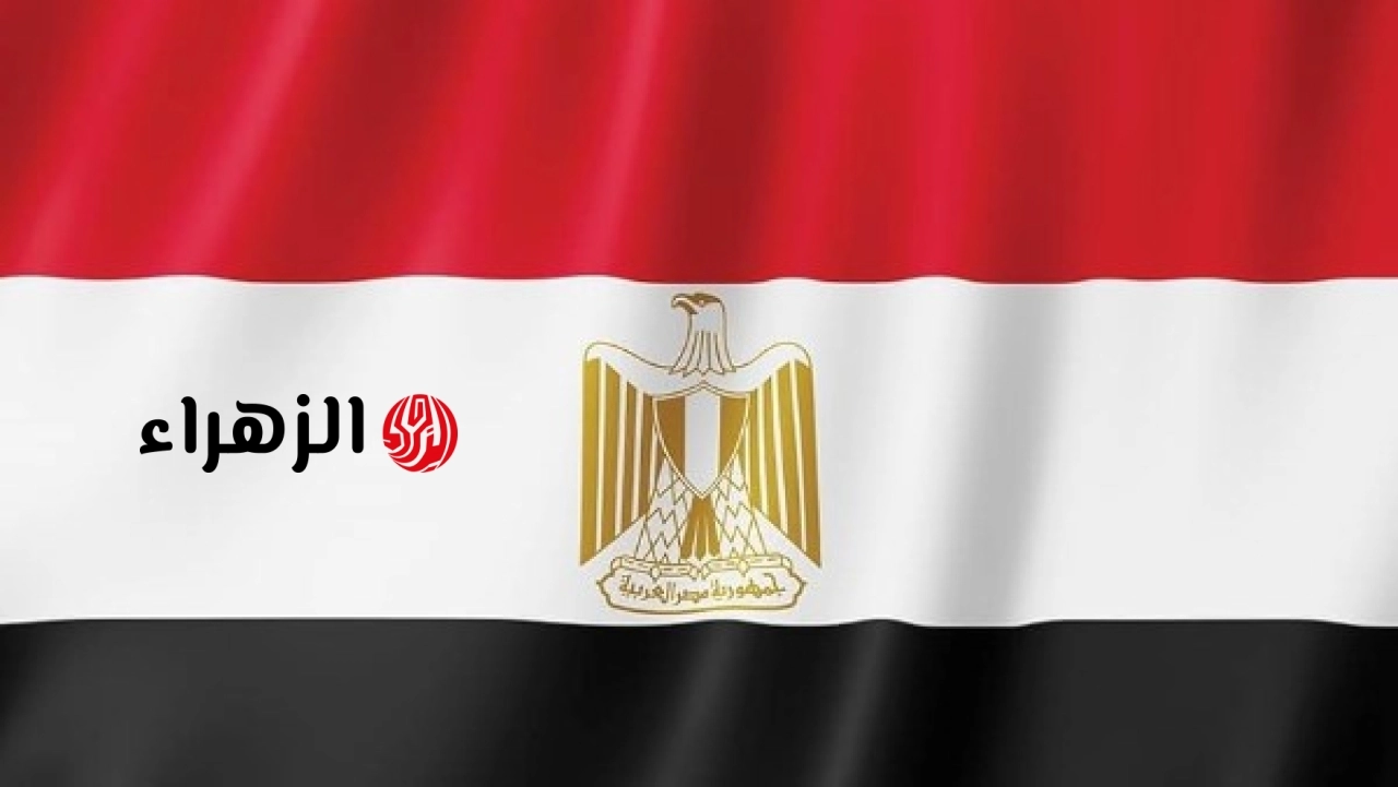 مصر توضح نتائج عدم التوافق على وثيقة مؤتمر مراجعة معاهدة عدم الانتشار النووي