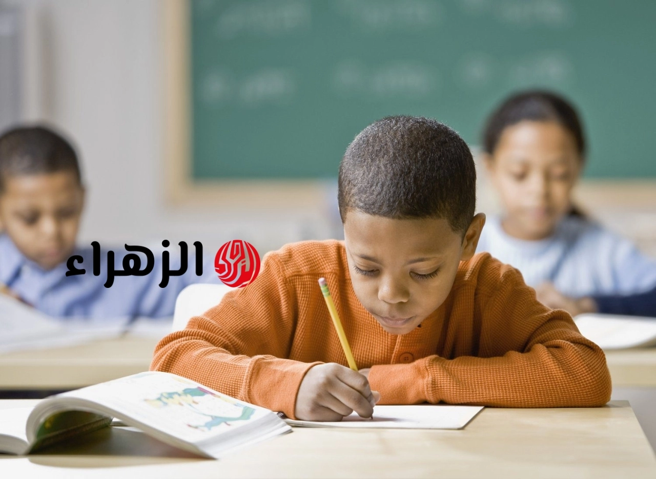 قريبا.. نتيجة الصف الاول والثاني الابتدائي 2026 الترم الثاني عبر بوابة التعليم الاساسي واعرف درجاتك