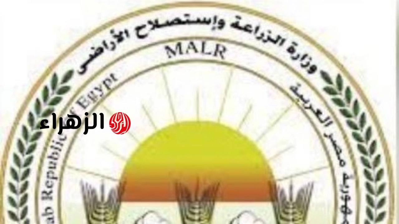 وزارة الزراعة تعلن استقبال حدائق الحيوان والأسماك 38 ألف زائر خلال أول يومين من عيد الأضحى