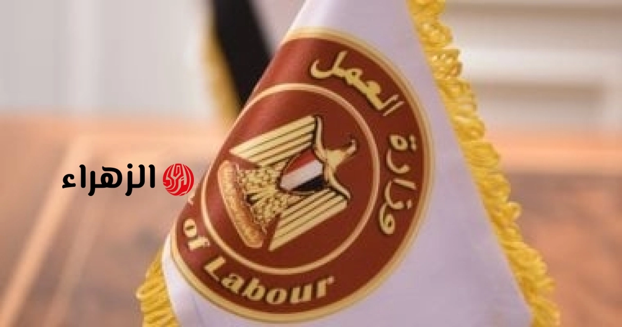 وزارة العمل تعلن عن وظائف شاغرة بمجال السياحة برواتب تصل إلى 12 ألف جنيه