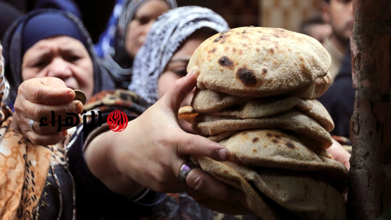 مصير رغيف الخبز المدعم.. تفاصيل منظومة الدعم النقدي الجديدة وآلية الصرف
