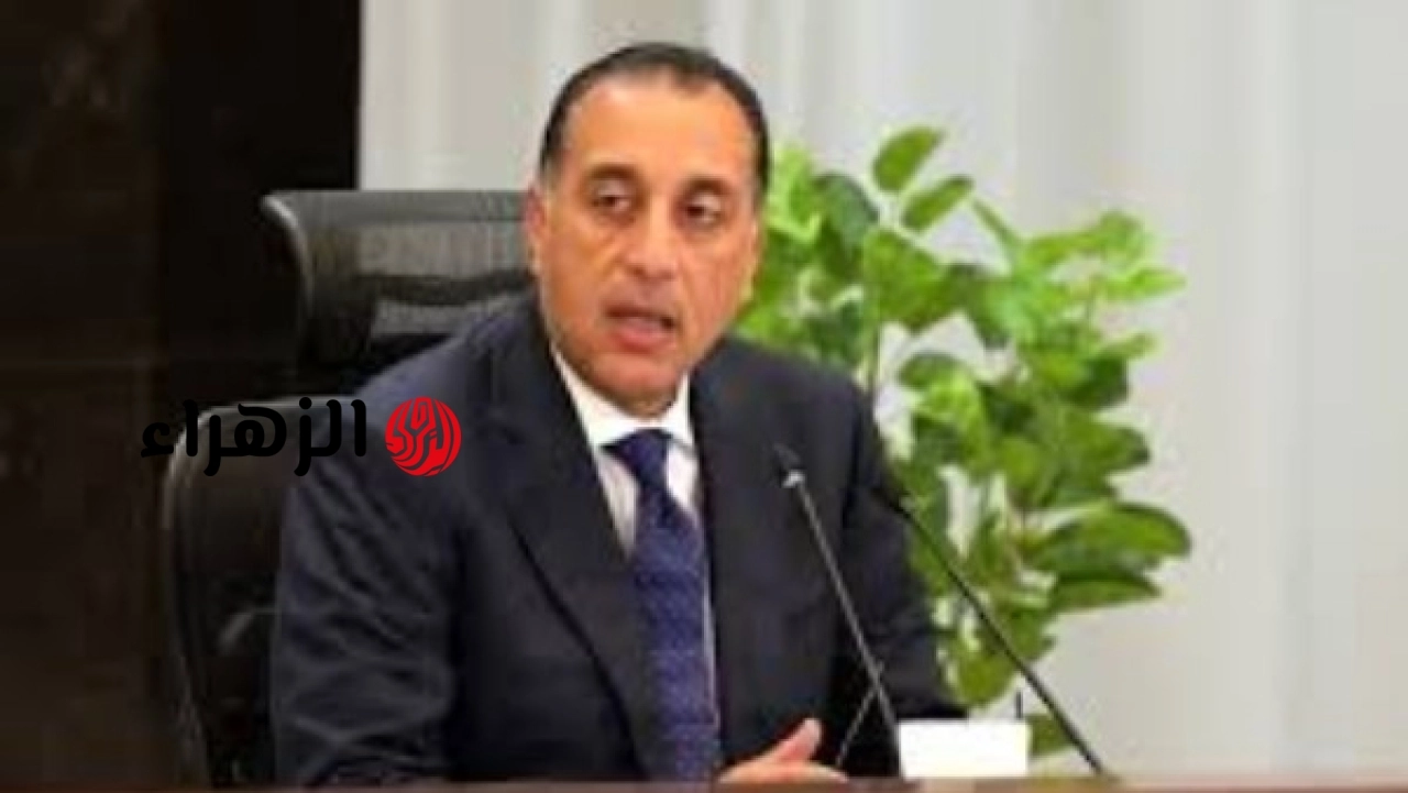 الحكومة المصرية تعلن الخميس 2 يوليو إجازة رسمية بمناسبة ذكرى ثورة 30 يونيو