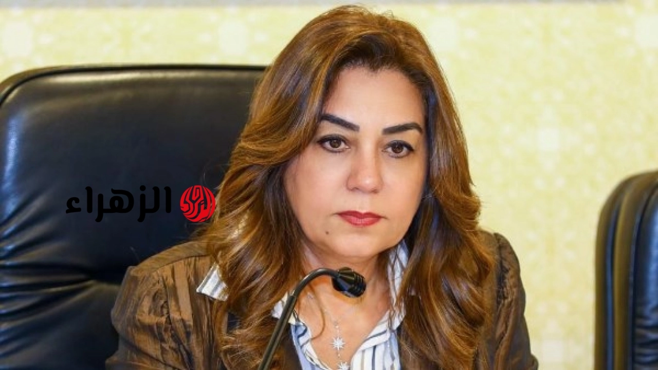 الحكومة المصرية تعلن بدء تنفيذ أعمال تطوير موقف جديلة بالدقهلية بتكلفة 48 مليون جنيه