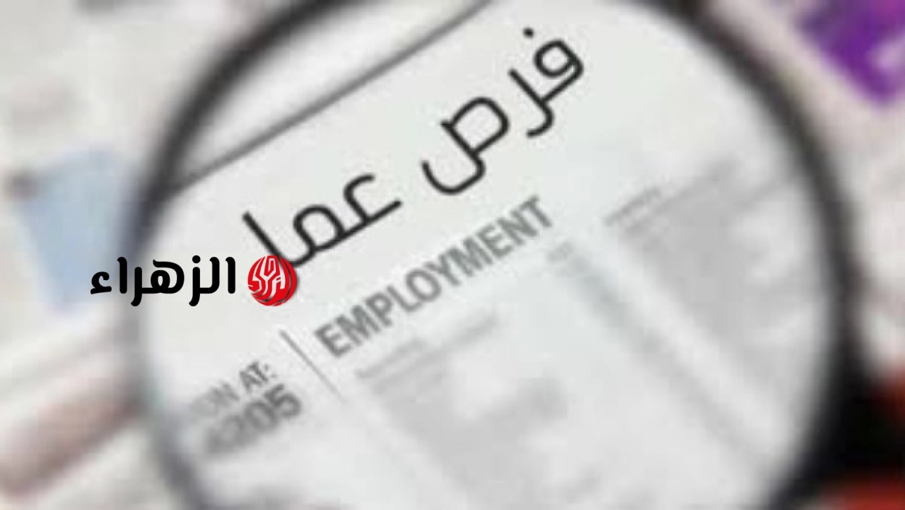 الحكومة المصرية تعلن طرح وظائف جديدة للشباب برواتب تصل إلى 25 ألف جنيه