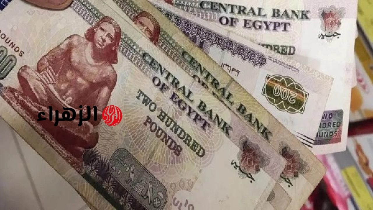 الحكومة تعلن زيادة جديدة بنسبة 15 في المئة في المعاشات وتوضح آلية احتساب قيمتها