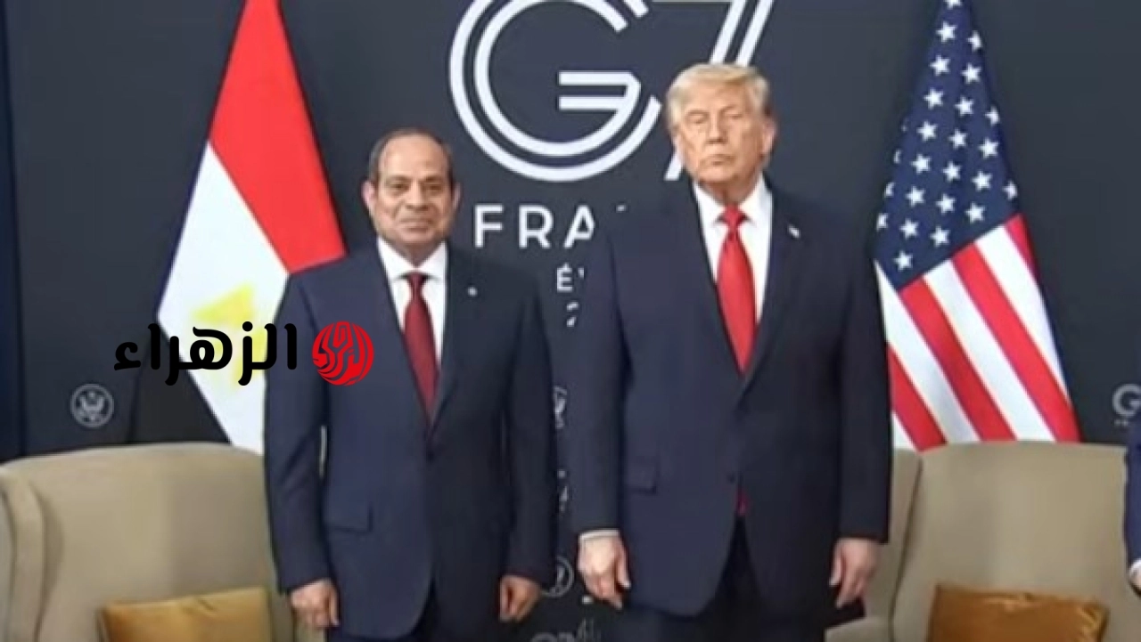 الرئيس السيسي يلتقي الرئيس الأمريكي دونالد ترامب ويبحثان دعم الاقتصاد المصري وتعزيز فرص التشغيل