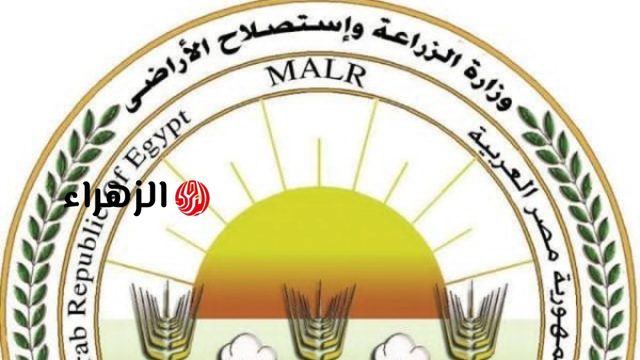 الزراعة تعلن إنتاج 3700 طن من منتجات التدوير بالمجازر خلال مايو