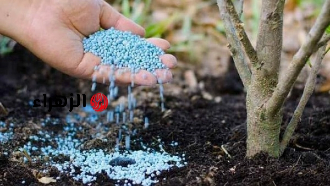 الزراعة تعلن توزيع 5.8 مليون شكارة أسمدة وتواصل ضخ يومي لـ 120 ألف شكارة بالمحافظات