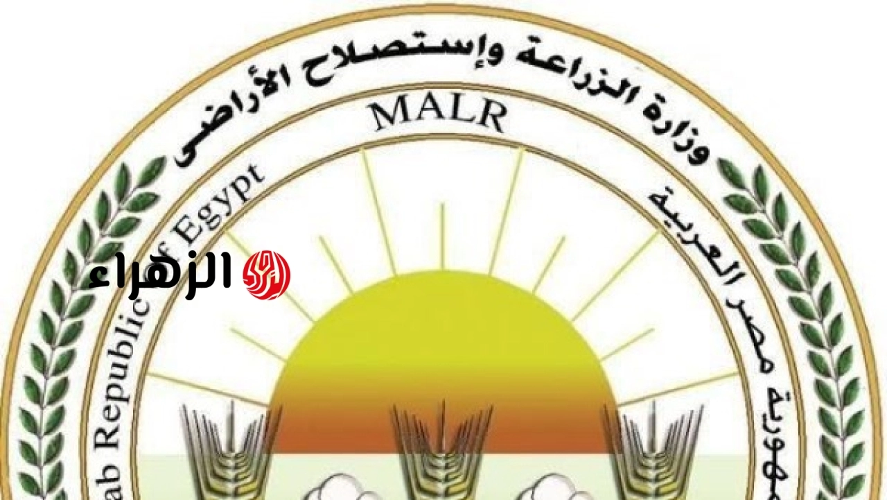 الزراعة تعلن ضبط 101 منشأة بيطرية مخالفة وتنفيذ 17 قرارا إداريا بغلق 48 مركزا